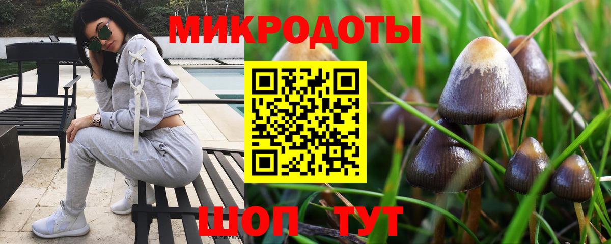 Артём  Галлюциногенные грибы Magic Shrooms  Вход с VPN 
